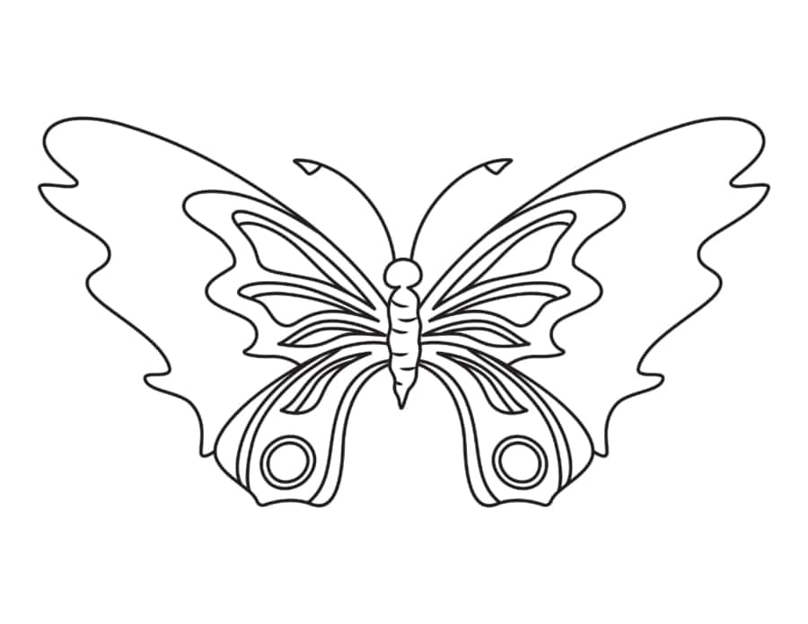 Butterfly Simple Patterned Coloring Pdf Free Vectors